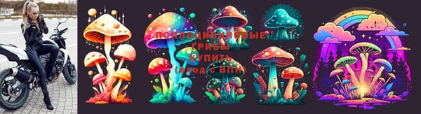 мет Касимов
