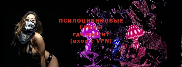 мет Касимов