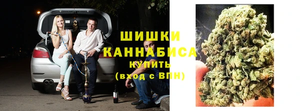 мет Касимов