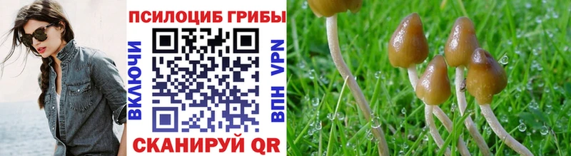 Купить где  Заозёрск  Псилоцибиновые грибы ЛСД 